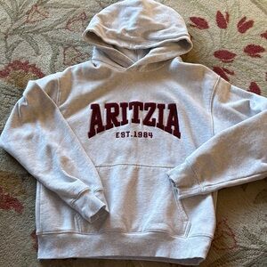 Aritzia Cozy Sweatfleece Perfect Hoodie